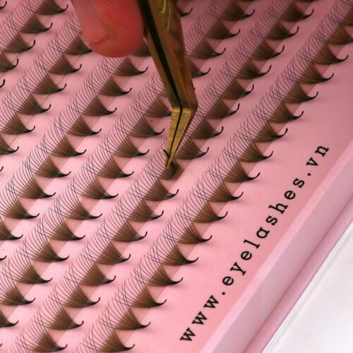 10D Promade Fans XL Tray 10D - 500Fans - Premade Fans Eyelash Extensions -VNLASHES