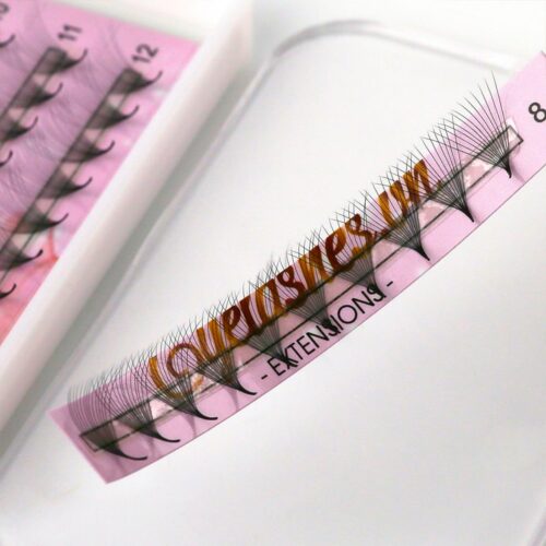 12D Promade Fans L Trays 12D-120Fans Premade Fans Volume Eyelash Extensions VNLASHES