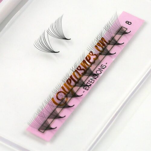 12D Promade Fans L Trays 12D-120Fans Premade Fans Volume Eyelash Extensions VNLASHES