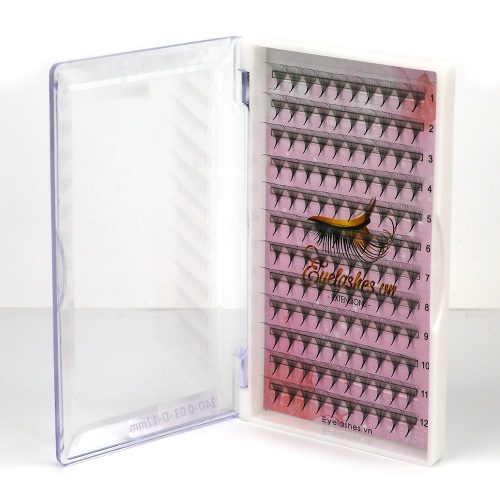 14D Promade Fans L Tray 14D 120Fans Premade Fans Volume Eyelash Extensions VNLASHES