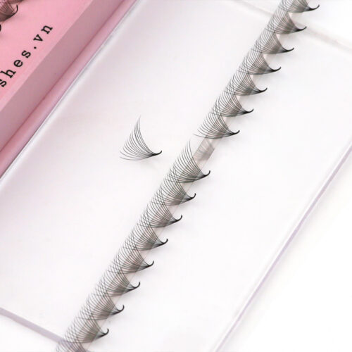 14D Promade Fans XL Tray 14D - 400Fans - Premade Fans Eyelash Extensions -VNLASHES