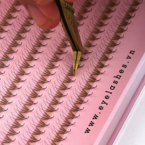 4D Promade Fans XL Tray 4D - 600Fans - Premade Fans Eyelash Extensions -VNLASHES