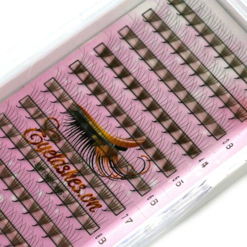 5D Promade Fans L Trays 5D-120Fans Premade Fans Volume Eyelash Extensions VNLASHES