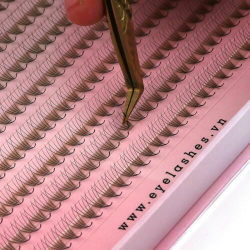 Promade Fans XL Tray 5D - 600Fans - Premade Fans Eyelash Extensions -VNLASHES