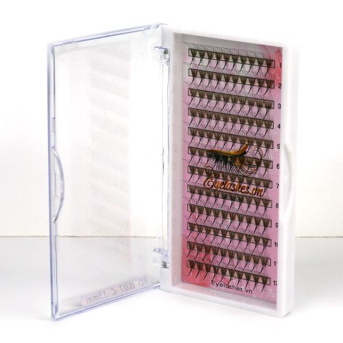 6D Promade Fans L Tray 6D 120Fans Premade Fans Volume Eyelash Extensions VNLASHES