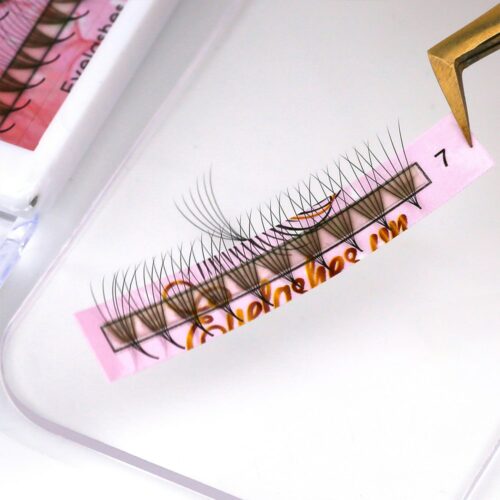 6D Promade Fans L Trays 6D-120Fans Premade Fans Volume Eyelash Extensions VNLASHES