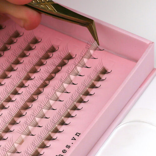 7D Promade Fans XL Tray 7D - 500Fans - Premade Fans Eyelash Extensions -VNLASHES