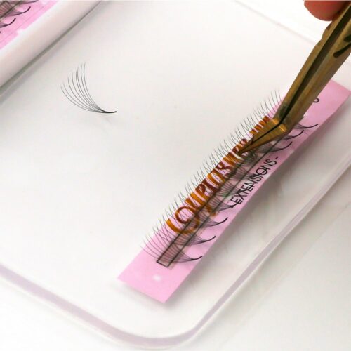 8D Promade Fans L Trays 8D-120Fans Premade Fans Volume Eyelash Extensions VNLASHES