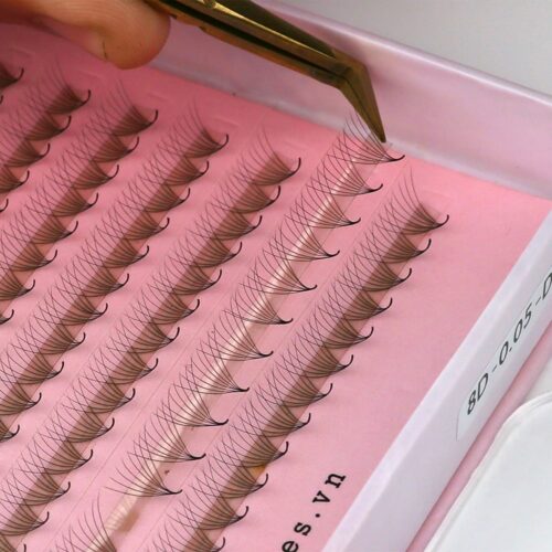 8D Promade Fans XL Tray 8D - 500Fans - Premade Fans Eyelash Extensions -VNLASHES