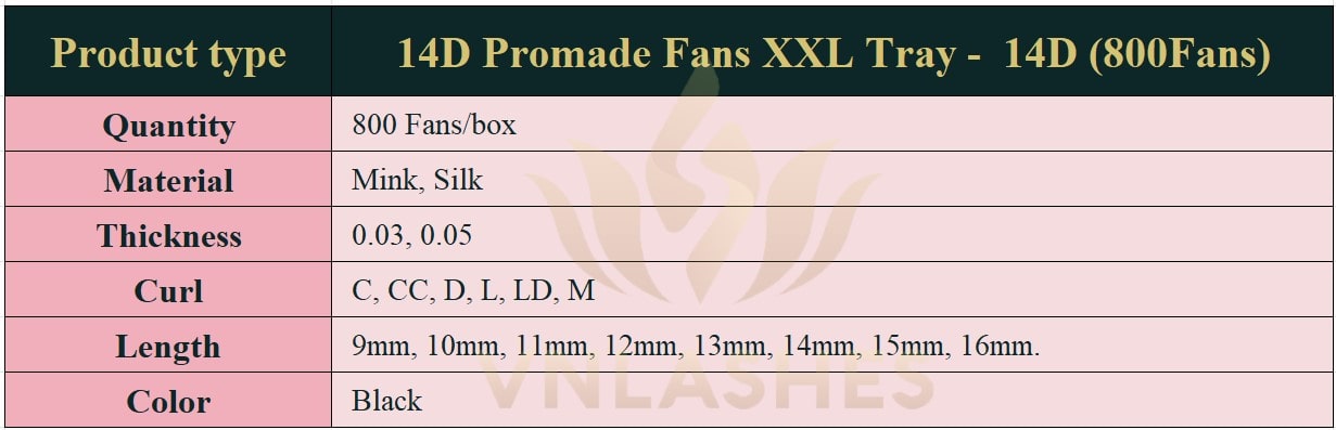 Product information Promade Fans 14D XXL Tray - 800Fans - Premade Fans Volume Eyelash Extensions -VNLASHES