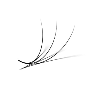 VNLASHES | Promade Fans Volume Eyelash Extensions | Volume Lashes Extensions.