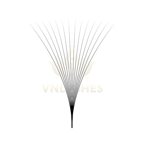 VNLASHES | Promade Fans Volume Eyelash Extensions | Volume Lashes Extensions.