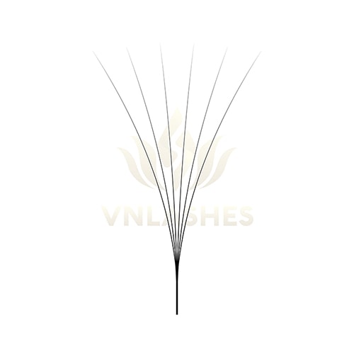 VNLASHES | Promade Fans Volume Eyelash Extensions | Volume Lashes Extensions.