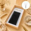12D Magic Wide Premade Fans OEM Lash Manufacturer