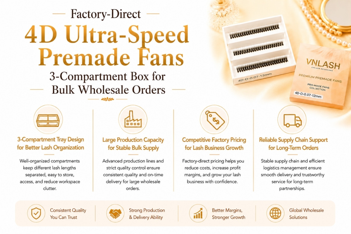 Factory-Direct 4D Ultra-Speed Premade Fans 3-Compartment Box for Bulk Wholesale Orders