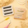 4D Ultra-Speed Premade Fans 3-Compartment Box | Wholesale Lash Supplier