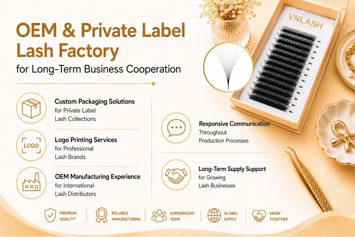 Fábrica OEM y de marca privada para pestañas orientada a la cooperación comercial a largo plazo