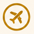 VNLASHES | Promade Fans Volume Eyelash Extensions | Volume Lashes Extensions.